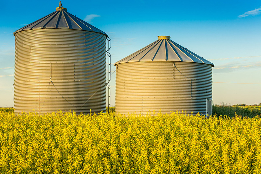 agriculture concept with two silos in field - Springfield, IL